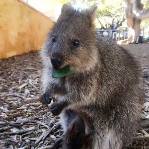 Meet your Posher, Catherine